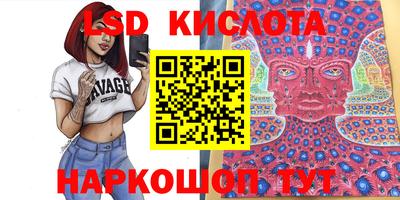 дурь Кингисепп