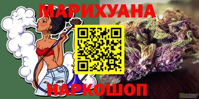 шишки Канаш