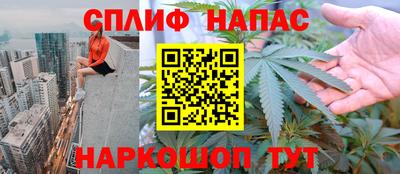 дурь Кингисепп