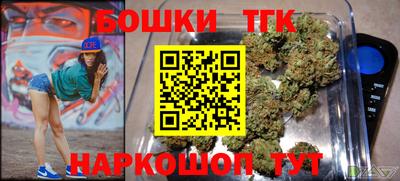 шишки Канаш
