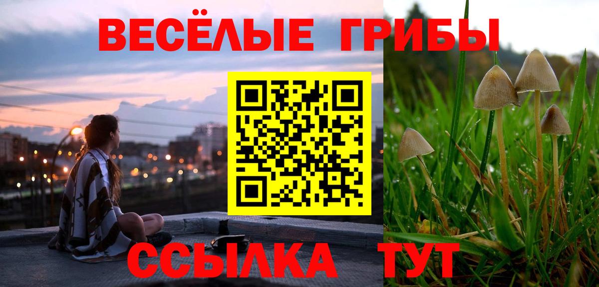 Галлюциногенные грибы мицелий  Вход с VPN  Юрга 